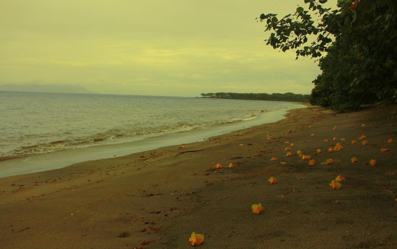 Fx72 Beach Resort Maumere Eksteriør billede